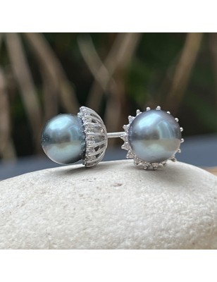 prix clous d oreille perle de Tahiti de huitre perle - perles tahitiennes en boucle oreille