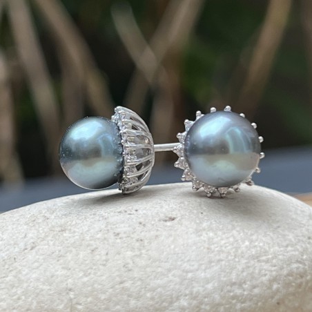 prix clous d oreille perle de Tahiti de huitre perle - perles tahitiennes en boucle oreille
