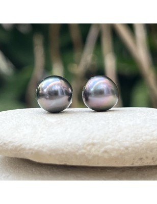 Tahitian violine pearls on gold ear studs price - earrings with pearl from Tahiti
