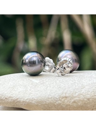 Tahitian violine pearls on gold ear studs price - earrings with pearl from Tahiti