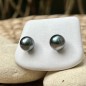 9.50mm Tahitian Blue Pearl Ear Studs - 18K White Gold