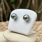 Clous d'Oreilles Or 18 Carats Perles de Tahiti Tilleul 9.00mm
