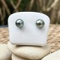 Clous d'Oreilles Or 18 Carats Perles de Tahiti Tilleul 9.00mm