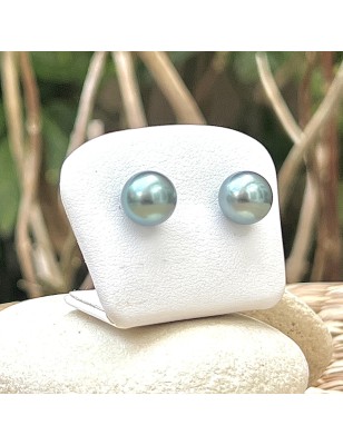 Lagoon blue Tahitian pearls on gold ear studs price - earrings with pearl from Tahiti