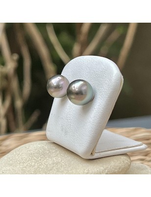 prix clous d oreille perle de Tahiti de huitre perle - perles tahitiennes en boucle oreille