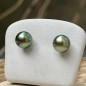 Éclatante - Perles de Tahiti Vertes - Boucles or 750