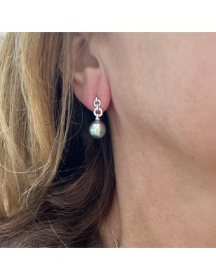 Tahitian Pearl Earrings