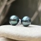 Mahana Ura - Overseas Tahitian Pearl Earrings 9.02mm