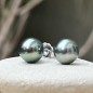 Mahana Ura - Boucles Oreilles Perles de Tahiti Peacock - 9.05mm