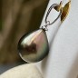 Fenua Vairoa - 18 Carat Gold Pendant Tahitian Pearl 9.10mm