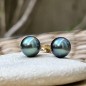 Éclatante - Perles de Tahiti Vertes - 9.00mm - Boucles or 750