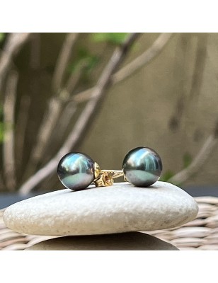 blue violet Tahitian pearls on gold ear studs price - earrings with pearl from Tahiti