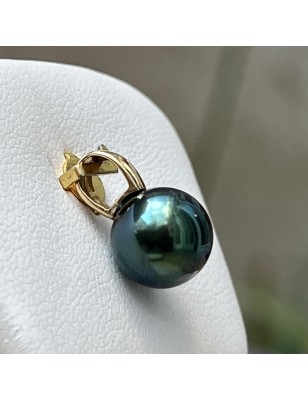 Tahitian Pearl Earrings