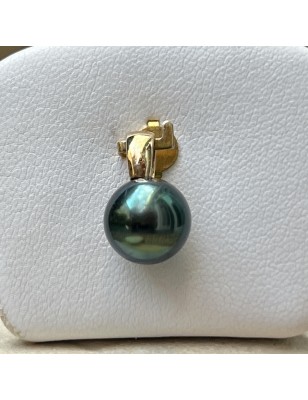 Tahitian Pearl Earrings