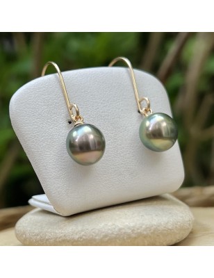 Creolen mit Tahiti-Perlen