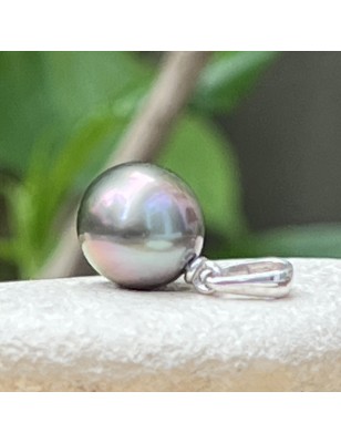 Cultured Pearl Pendant - best website for tahitian pearl jewel