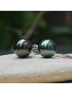 tahitian cultured pearl ear studs in sterling silver price - tahitian earrings with tahitian pearls