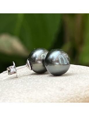 Tahiti pearl ear studs price - earrings with cultured tahitian pearls