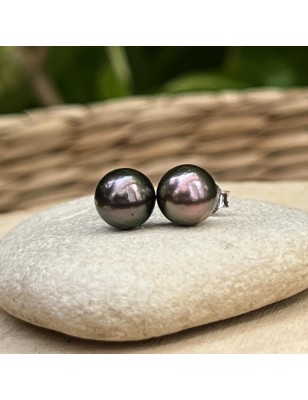 tahitian pearl ear studs price