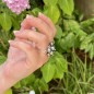 Bague Argent Rhodié 7 Perles de Tahiti Peacock Bague Argent Rhodié 7 Perles de Tahiti Peacock