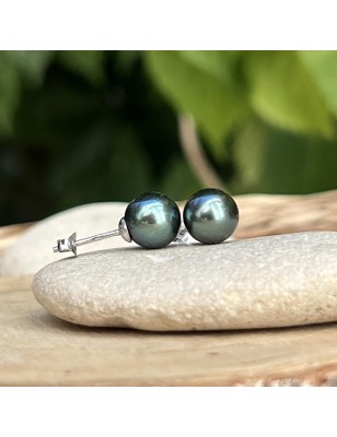 Tahitian pearl earrings