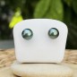 Éclatante – Pendientes de Perlas de Tahití Azul Índigo – Oro de 18 Quilates Éclatante – Pendientes de Perlas de Tahití Azul Índigo – Oro de 18 Quilates