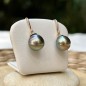 Gold-Filled Earrings with Blue Pacific Sunset Tahitian Pearls