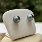 Boucles d'Oreilles Argent Rhodié Perles de Tahiti Bleues
