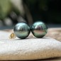 Tiareva - Pistachio Tahitian Pearls - 18k Gold Earrings
