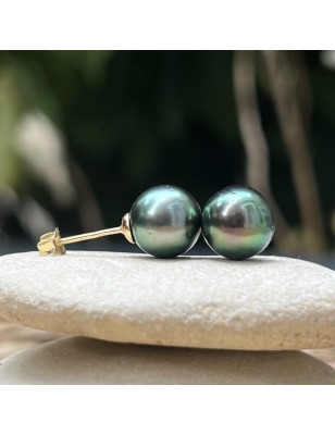 Pistachio green Tahitian pearls on gold ear studs price - earrings with pearl from Tahiti
