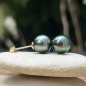 Tiareva - Pistachio Tahitian Pearls - 18k Gold Earrings