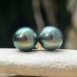 Tiareva - Pistachio Tahitian Pearls - 18k Gold Earrings